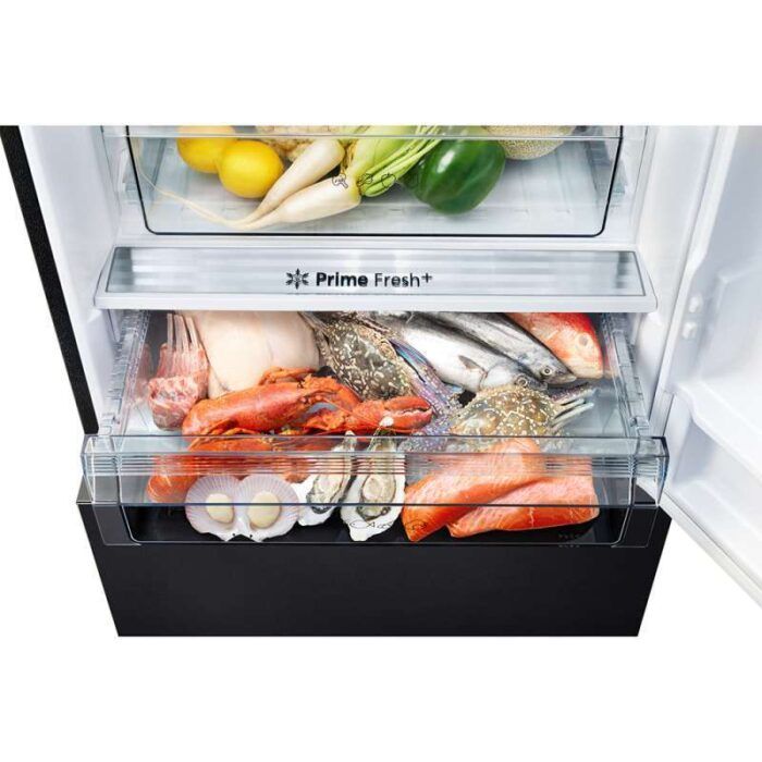 KULKAS 2 PINTU BIG PANASONIC NR-BX471CPKD - Image 2